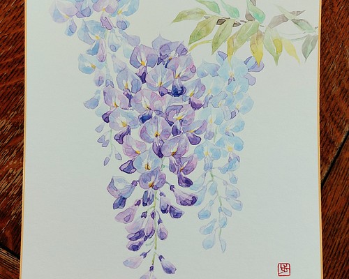 “藤” 色紙絵 水彩画 原画 送料無料 絵画 Ayumi Noda 野田 歩 通販