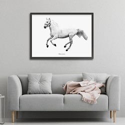 アートポスター/ White horse  おしゃれインテリア・北欧、モノトーン好きの方に☆ 1枚目の画像