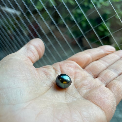 西日本産 タヒチ 黒蝶貝 黒真珠 パール 12mm ドロップ形 ルースパール