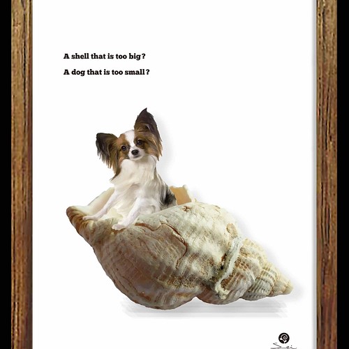 大きいのはどちら ポスター アート Seiで検索 ユニーク おもしろい かわいい 犬 ｃ 8 写真 グラフィック Sei 通販 Creema クリーマ ハンドメイド 手作り クラフト作品の販売サイト