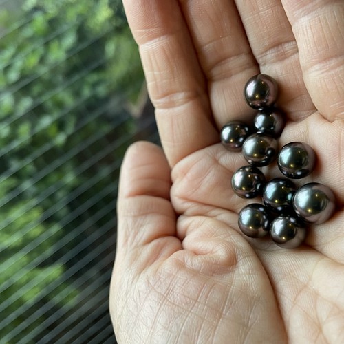 特選品 タヒチアンパール　黒真珠 ネックレス