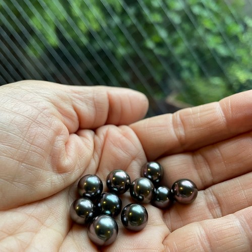 特選品 タヒチアンパール　黒真珠 ネックレス