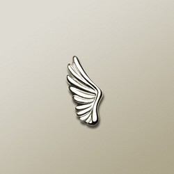 單翅膀耳環 第1張的照片