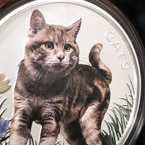 銀貨】庭猫 フィジー 2022年 1オンス シルバーコイン カラー版【純銀 