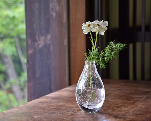 メール便指定可能 新品 ガラスの花瓶に透明な花器を生けて梅の瓶を水で