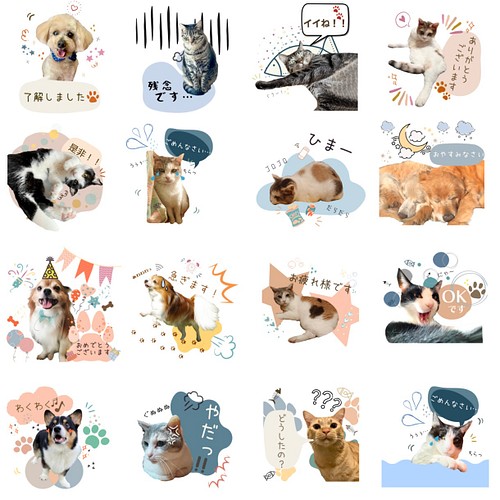 ご家族様の可愛いlineスタンプ作成します 普段の家族のお写真をうちの子lineスタンプに その他アート うちの子labo 通販 Creema クリーマ ハンドメイド 手作り クラフト作品の販売サイト