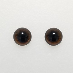 S12　わんこの瞳　１２㎜　グラスアイ　羊毛フェルト用 1枚目の画像