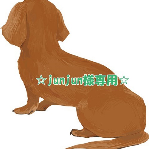 JUNJUN様ダックス確認用 - 犬用品