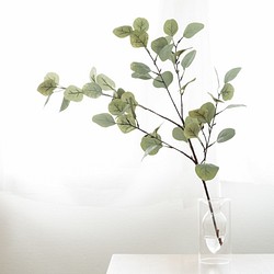 お手入れ不要な観葉植物 ユーカリ インテリアグリーン マジカルウォーターアレンジ 引越し祝いにも フラワー リース ワンルームを彩る一輪挿し専門店エタネラ 通販 Creema クリーマ ハンドメイド 手作り クラフト作品の販売サイト