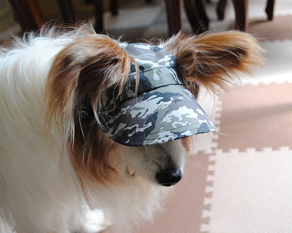 犬の帽子＊カモフラグレー（黒ゴム）＊Mサイズ＝4㎏前後の小型犬用 1枚目の画像