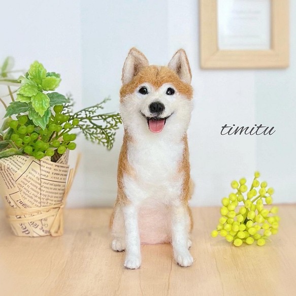 ◇こちらはサンプル画像です◇羊毛フェルト 愛犬 オーダー ぬいぐるみ