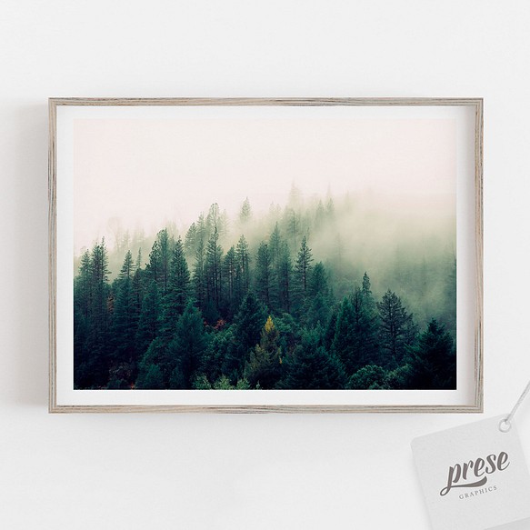 霧と針葉樹の森 フォレスト 山肌 ミニマル 写真 ポスター 1枚目の画像