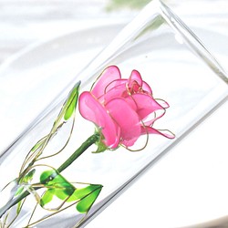 【植物標本 S】薔薇(ばら) -Deep pink- 1枚目の画像