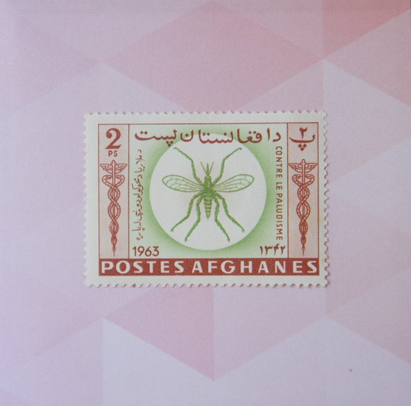 蚊の切手【アフガニスタン】①茶&緑系色（1963年・未使用） 1枚目の画像