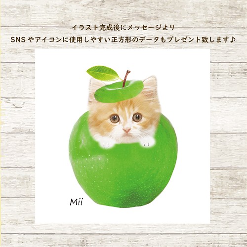 限定品 「青いリンゴと猫」 - htii.edu.kz