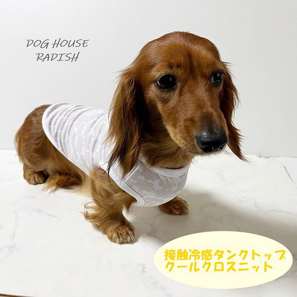 接触冷感タンクトップ くも柄 【ピンク】 Dog 犬服 ドッグウェア 夏