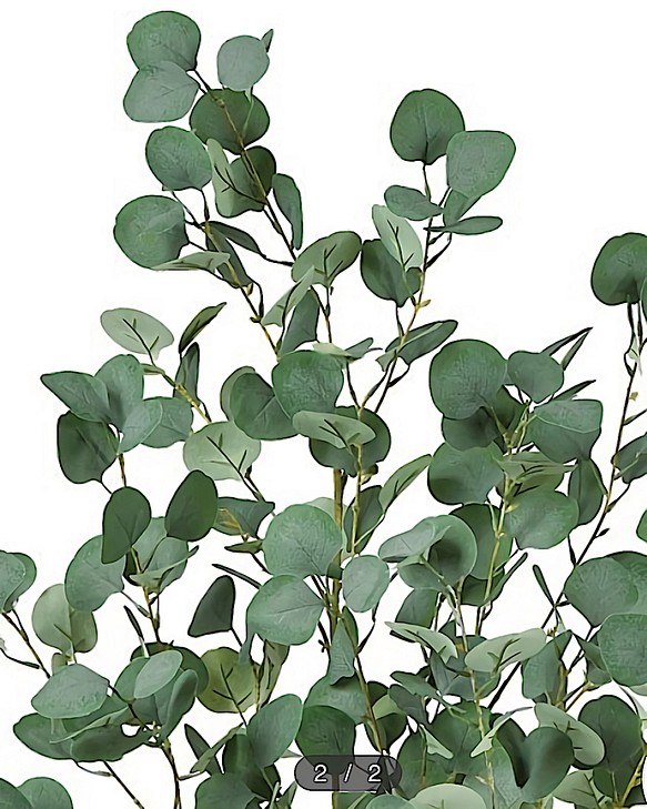 光触媒 ウォールグリーン フェイク フラワー ユーカリ濃い葉 - 植物 ...