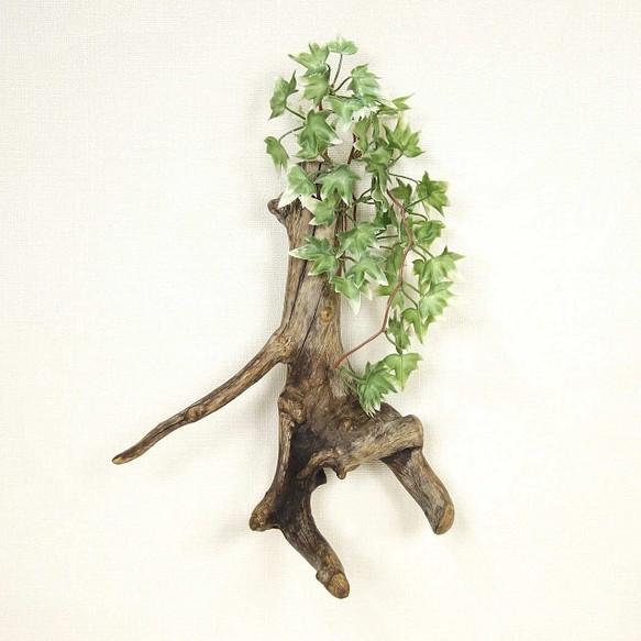 【温泉流木】美しい根流木のスリムな壁掛け一輪挿し・花器 花瓶 流木インテリア 1枚目の画像