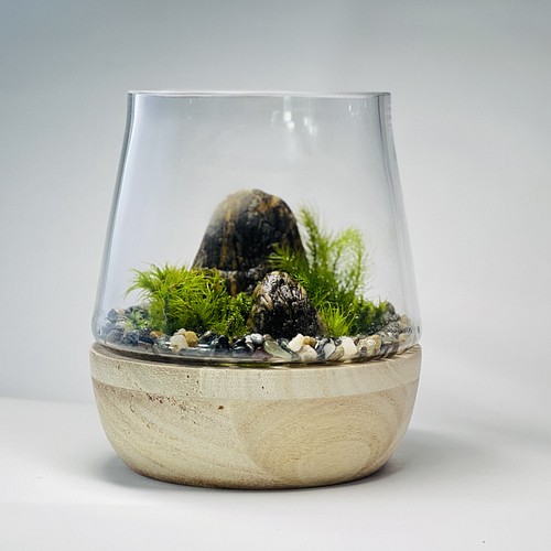 苔テラリウム 水 受注販売 フラワー リース 6f Moss Work 通販 Creema クリーマ ハンドメイド 手作り クラフト作品の販売サイト