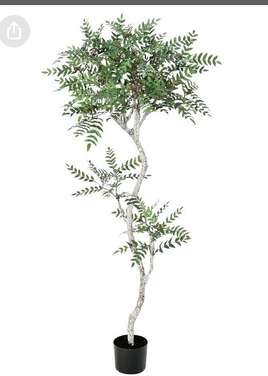 光触媒 人工観葉植物 ウォールグリーン フェイクグリーン ロカストツリー-