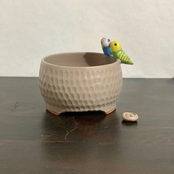陶器　インコさんの植木鉢 1枚目の画像