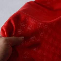 綿100％　遠州織物　「千鳥柄」赤 1枚目の画像