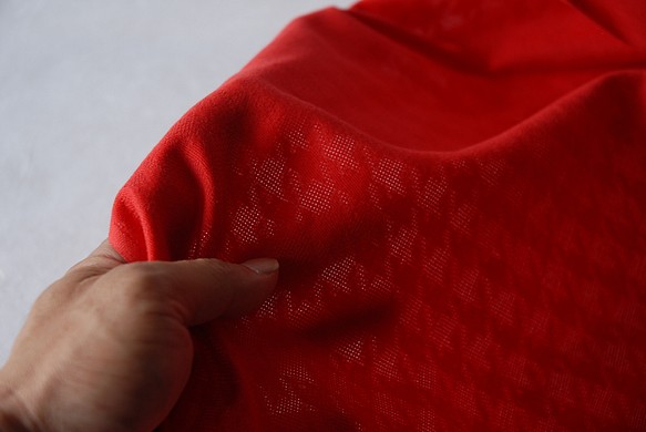 綿100％　遠州織物　「千鳥柄」赤 1枚目の画像