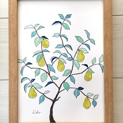 A4サイズ　水彩原画 洋梨の木 1枚目の画像