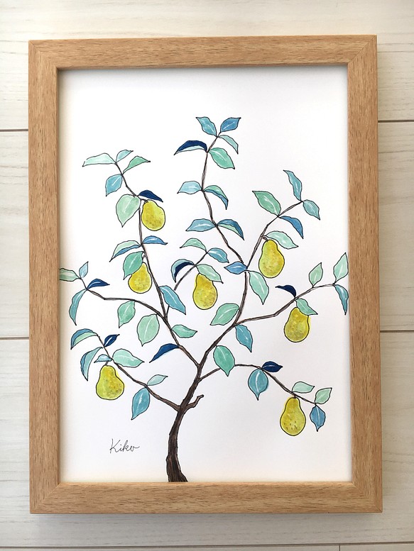 A4サイズ　水彩原画 洋梨の木 1枚目の画像