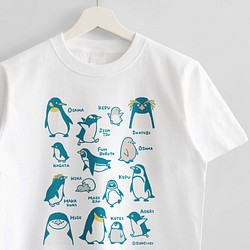 Tシャツ（とりずかん / ペンギン） 1枚目の画像