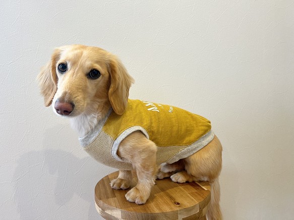 マスタードカラー　ダックスサイズ　ロングLサイズ　タンクトップ　犬の服　ペット　犬用タンク　犬服　 1枚目の画像