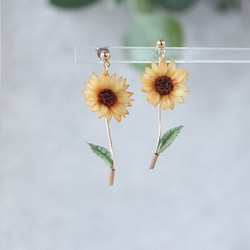 お花標本〔ひまわり〕ピアス/イヤリング　～季節を飾るアクセサリー～