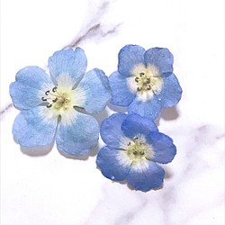 専用　ドライフラワー素材　青い色の小花　No.1588