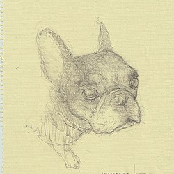 犬（イヌ） 絵画 のおすすめ人気通販｜Creema(クリーマ) 国内最大の