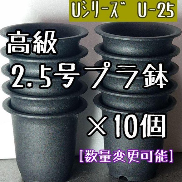 Ｕ25】◎10個◎ 高級 プラ鉢 2.5号 U-25 硬質 丸鉢 ミニ鉢 多肉植物