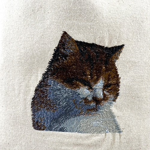 ○世界中の商品を購入○ フォト刺繍small kitten www.philsca.edu.ph