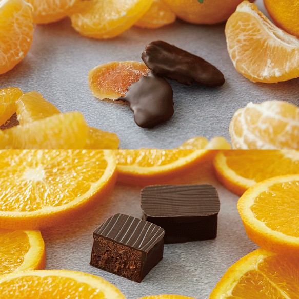 【送料無料】ひとくち柑橘チョコクリスマスギフトセット｜今までにないみずみずしさと植物油脂不使用不知火フルーツチョコレート 1枚目の画像