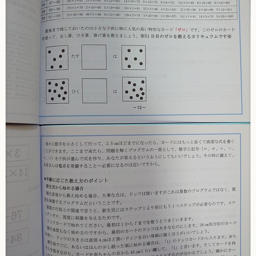 ドッツカード 0 100 数式カード 数字カード 算数記号 教え方カリキュラム おもちゃ 人形 右脳開発はドッツカード ドット棒カード 通販 Creema クリーマ ハンドメイド 手作り クラフト作品の販売サイト