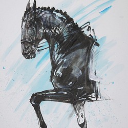 踊る黒い馬2022（水彩画用紙、A4、墨、水彩） 1枚目の画像