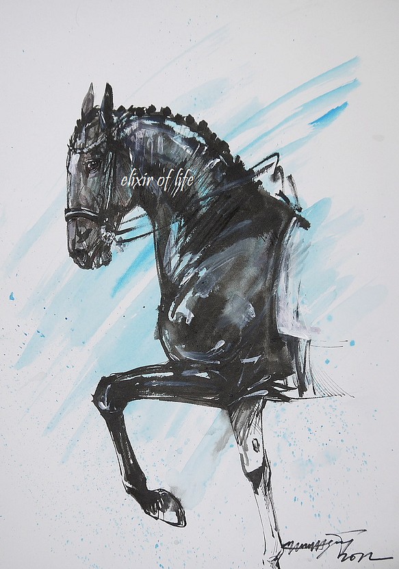 踊る黒い馬2022（水彩画用紙、A4、墨、水彩） 1枚目の画像