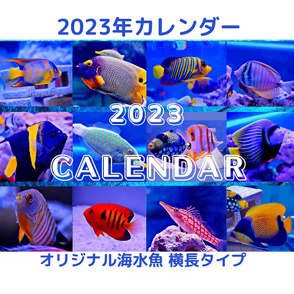 早期特典 23年オリジナル海水魚卓上カレンダー横長タイプ 早期注文いただくと残り月に応じてポストカードプレゼン カレンダー Fisherman 通販 Creema クリーマ ハンドメイド 手作り クラフト作品の販売サイト