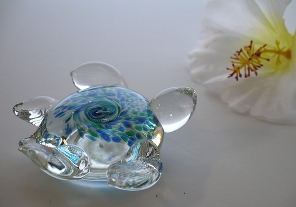 海之守護神 琉璃海龜（藍色） 第1張的照片