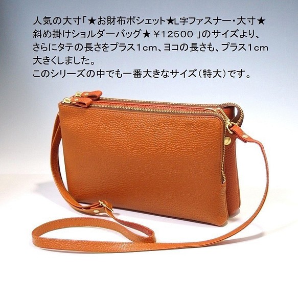 【美品】FOSSIL ショルダーバッグ　財布