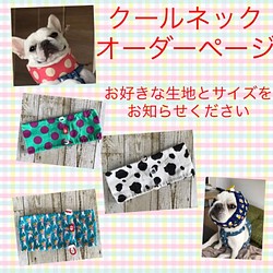 【8/10まで受付】犬用　クールネック　オーダーページ