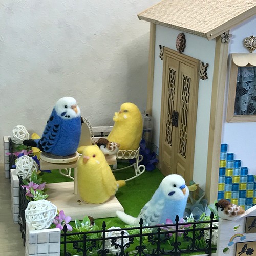 インコちゃん専用-