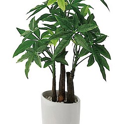 光触媒　人工観葉植物　ウォールグリーン　フェイク　フラワー　パキラ50 1枚目の画像