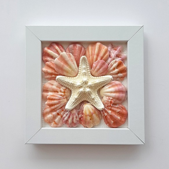 〈ピンク★スター〉貝殻アート 1枚目の画像