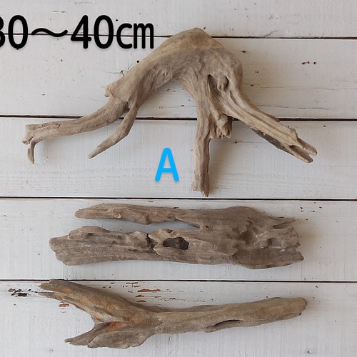 個性的な流木３点セット 木材・板 life with wood 通販｜Creema(クリーマ)