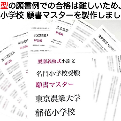 東京農業大学稲花小学校 過去問 願書 早稲田実業 慶応幼稚舎 横浜初等