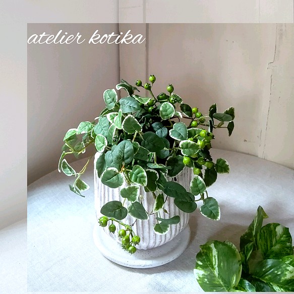 フェイクグリーンの鉢植え(プミラ&ベリー)／白陶器  人工観葉植物 1枚目の画像